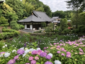十三参りを神奈川で参詣するなら？おすすめの寺院や着物レンタル店はどこ？