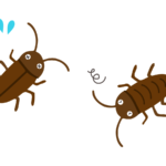 ゴキブリに洗剤をかける危険性やリスクは？選び方と使い方を解説