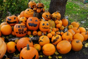 ジャックオーランタンが腐らない方法を解説！生のかぼちゃから本格的に作る！