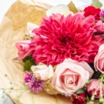 ダリアをプレゼントする意味とは？色別の花言葉と最適な贈り方！
