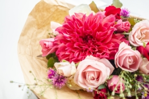 ダリアをプレゼントする意味とは？色別の花言葉と最適な贈り方！
